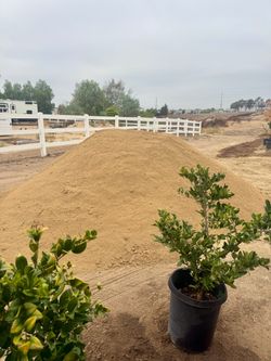 Screened DG! Cover your mud! Beautiful gold! $40 yard (Delivery available details in description)