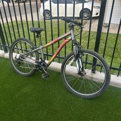 SPECIALIZED HOTROCK YOUTH MOUNTAIN BIKE 24” Wheels 