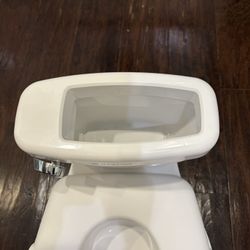 Summer Potty Training Toddler Toilet