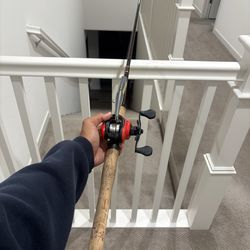 7’6 Fenwick Legacy rod w/ older gen Lews Mach Smash 7.5:1