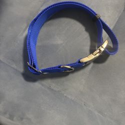 Size Large Dog Harness And Collars 