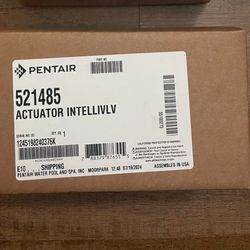 Pentair  Actulator Intellivalve  521485