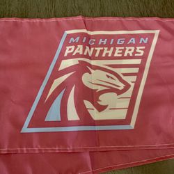 Michigan Panthers  Car Flags 