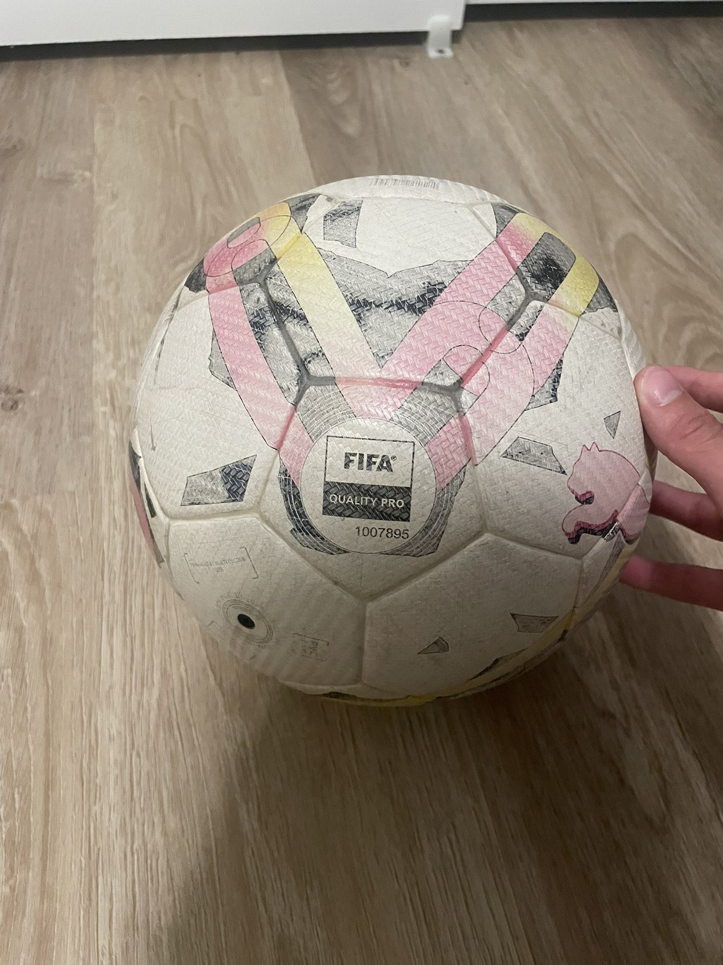 FIFA Quality Pro Soccer Ball