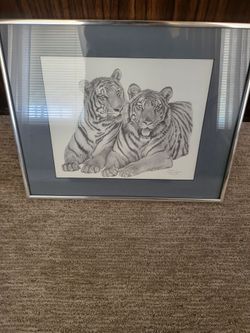 Framed Tiger Pencil Drawing Print