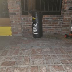 Punching Bag