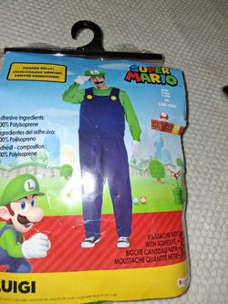 Disfras de Luigi
