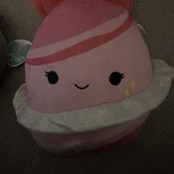 Squishmallow 