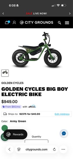 Golden cycle big boy e-bikes (2)