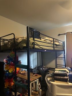 Free loft beds