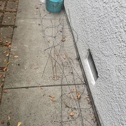 Three (3) Tomatoes 🍅 Metal Gardening Trellis