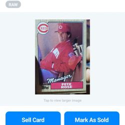 Pete Rose Baseball Card