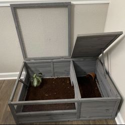 Tortoise Habitat 