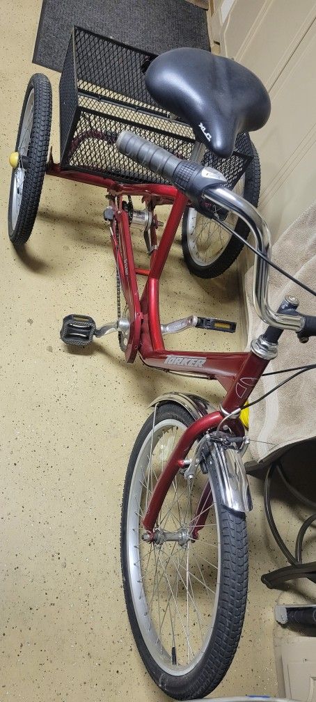 Adult Trike