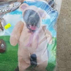 Costume For Large Dogs.