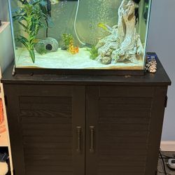 Aquarium and Stand