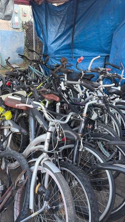 Mountain bikes, beach cruisers