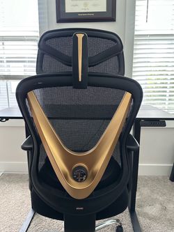 Ergonomic Office Chair