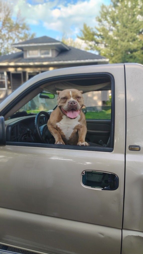 2004 Chevrolet Silverado 2500 HD