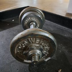 Dumbbell Adjustable 