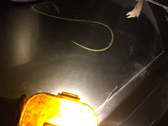 2007 Honda Civic lx rear door driver side