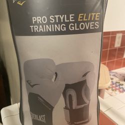 Everlast Boxing Gloves 