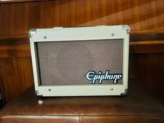 Guitar amplifier speaker
