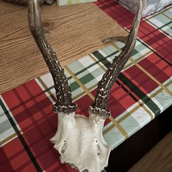 LOW PRICE MOVING- WALL HANGING REAL ANTLERS 