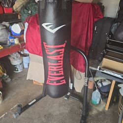 Everlast Punching Bag