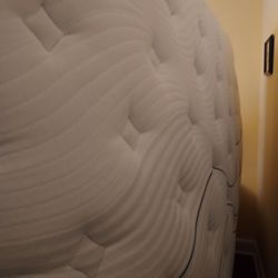 Bear Matress King Size