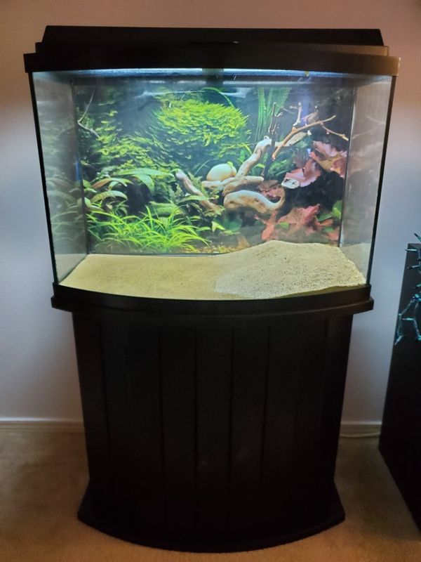 36 gallon bowfront aquarium complete setup for Sale in Monroe, WA OfferUp