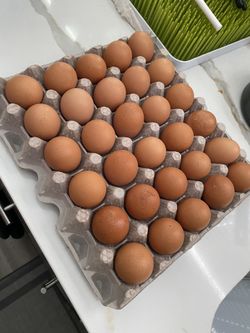 Medium Eggs