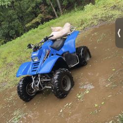 2003 Kawasaki Lakota Sport 300cc 