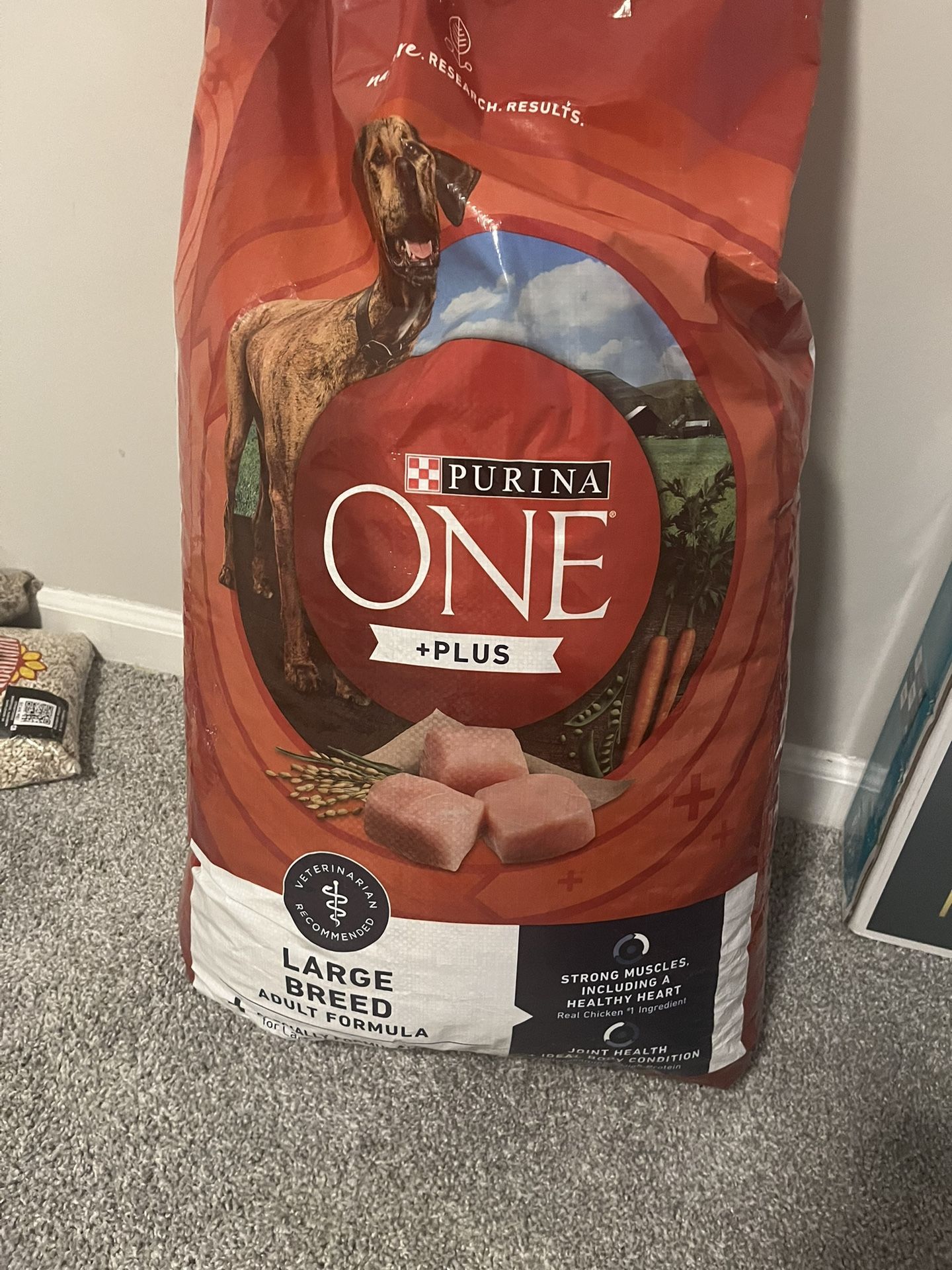 Purina One DOG Food