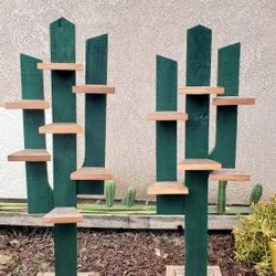 Wooden Cactus Plant Stand