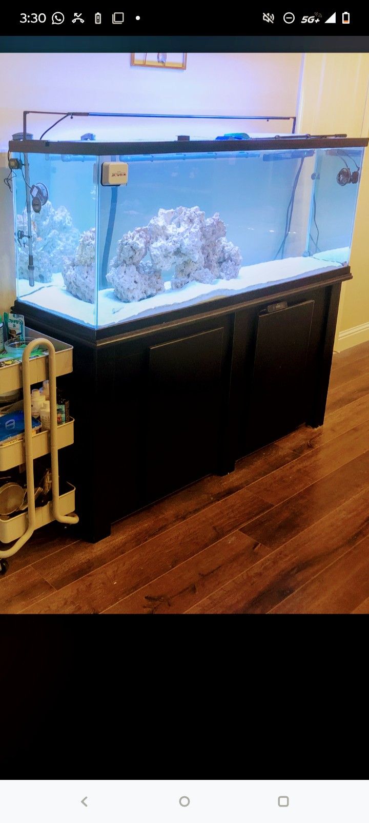 Fish Tank With Everything