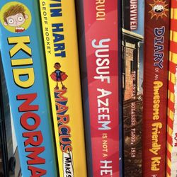 Kids Like New Hardback Chapter Books $15 Each 