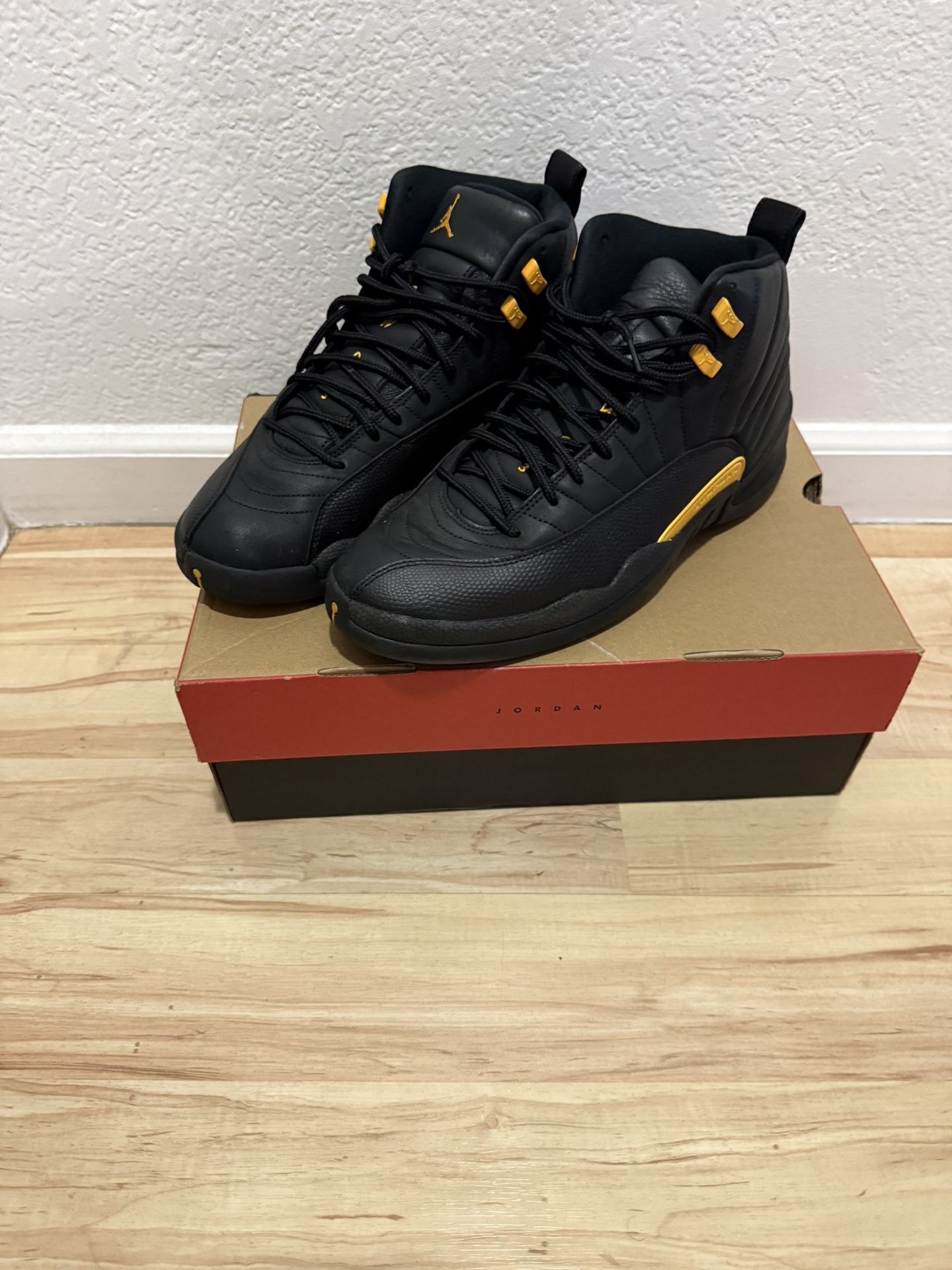 Black Taxi Jordan 12 (Size 12)