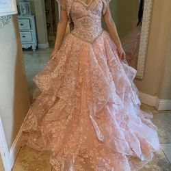 Quinceañera Dress/ Sweet 16/ Party/ Dress