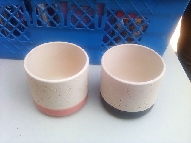 Two Vases Price For Both