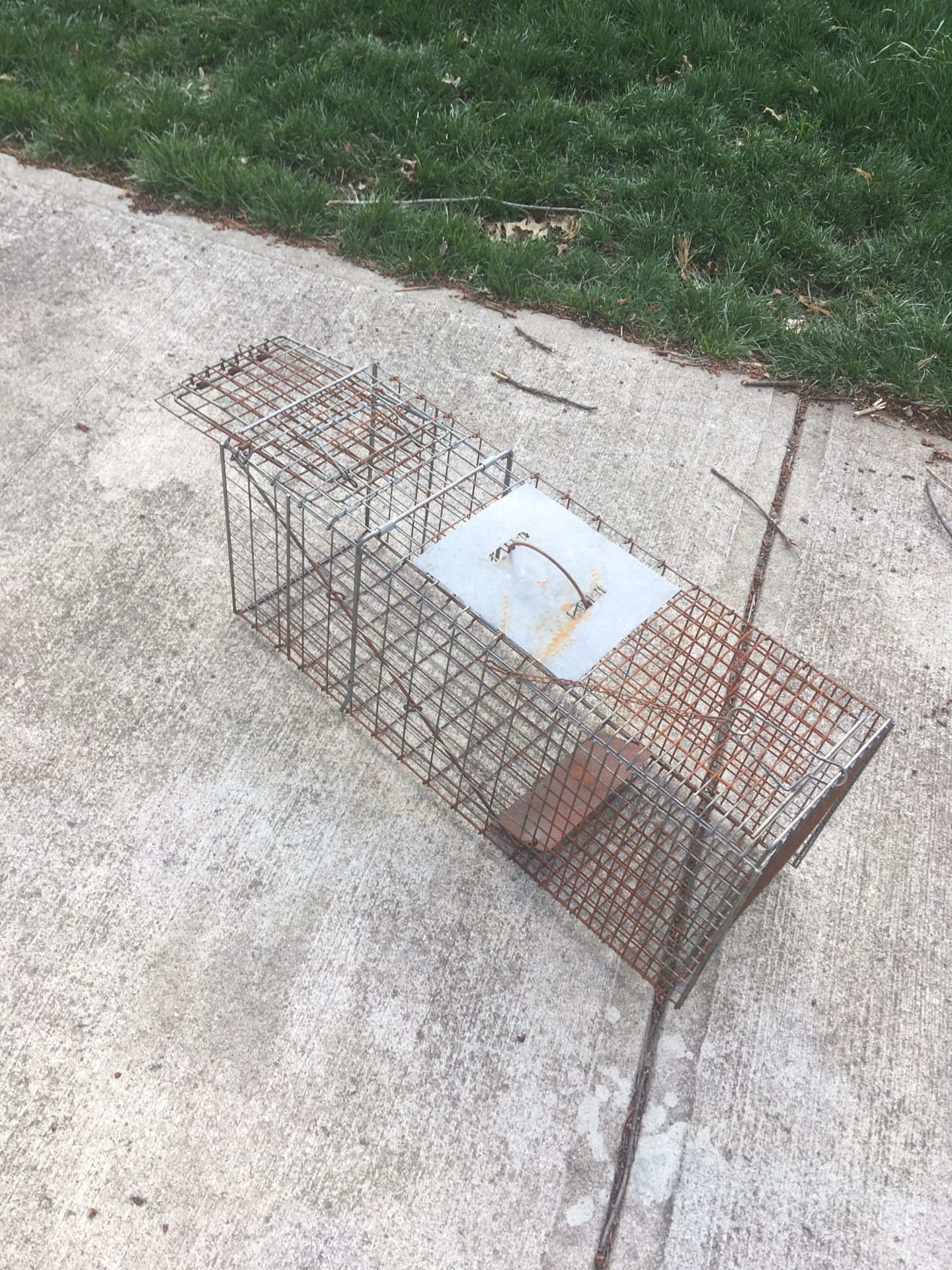 Live Animal Trap