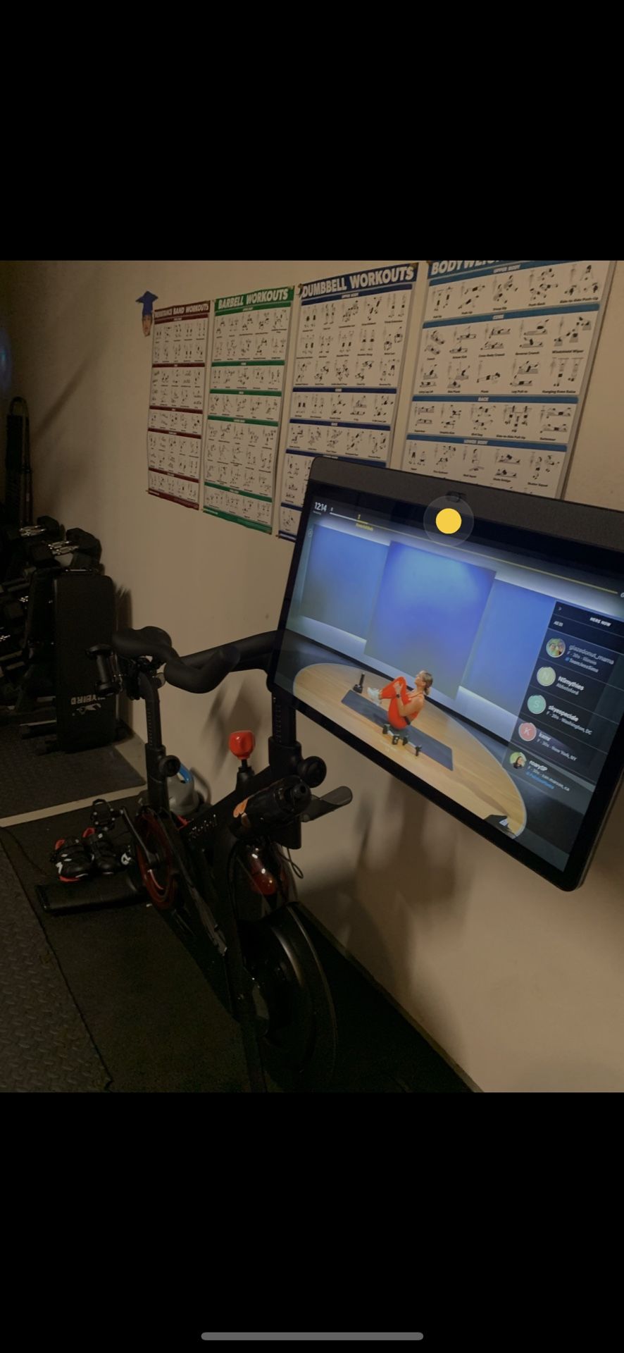 Peloton Indoor Exercise Bikes, Original Peloton Bike and Bike+