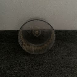 Hamster Wheel
