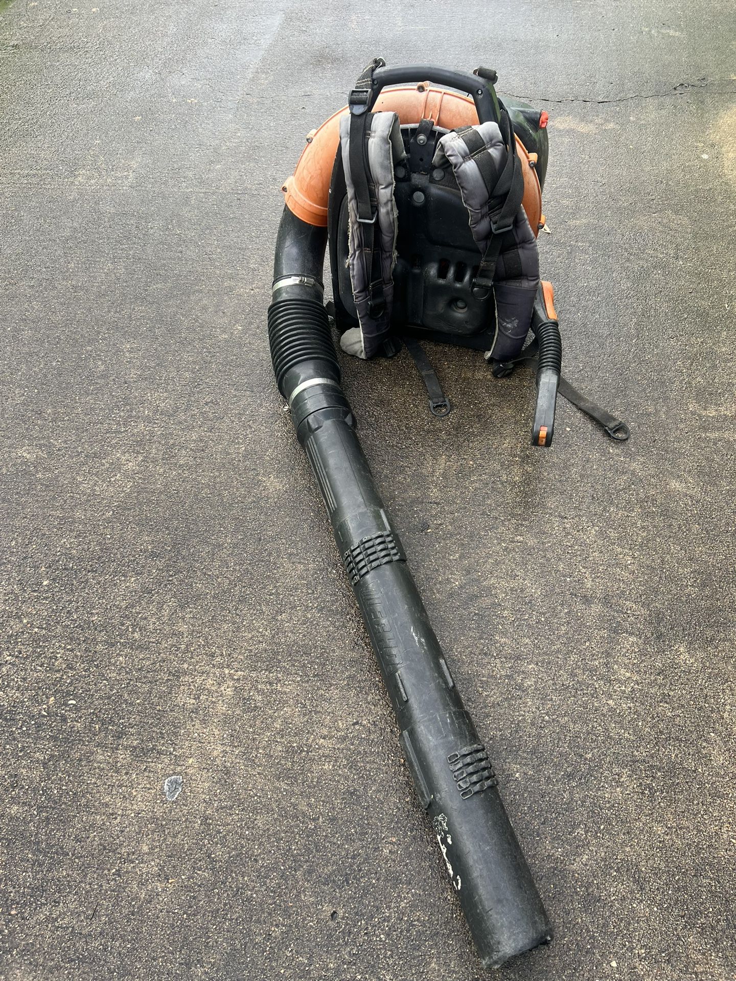 Echo Leaf Blower
