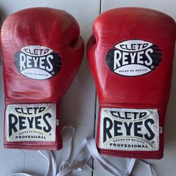 Cleto Reyes Training Gloves 