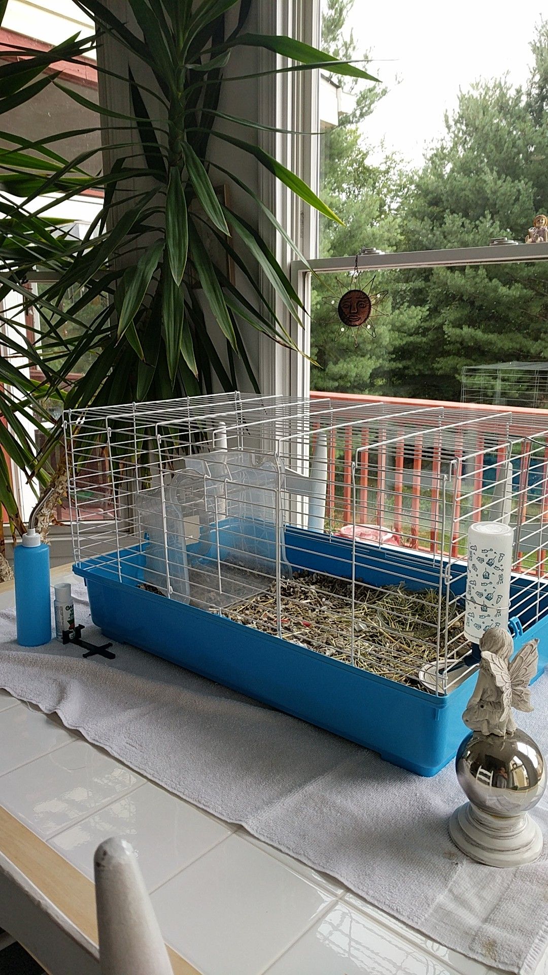 Cage ..plus all food etc for guinea pig