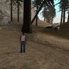 Timothy