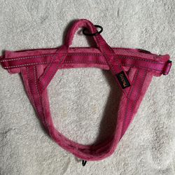 Dog Harness & Leash