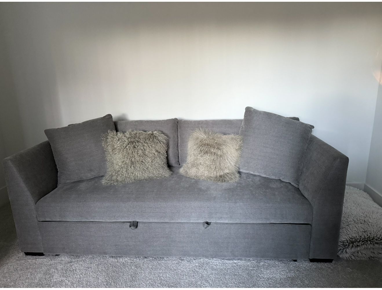 Sleeper Sofa