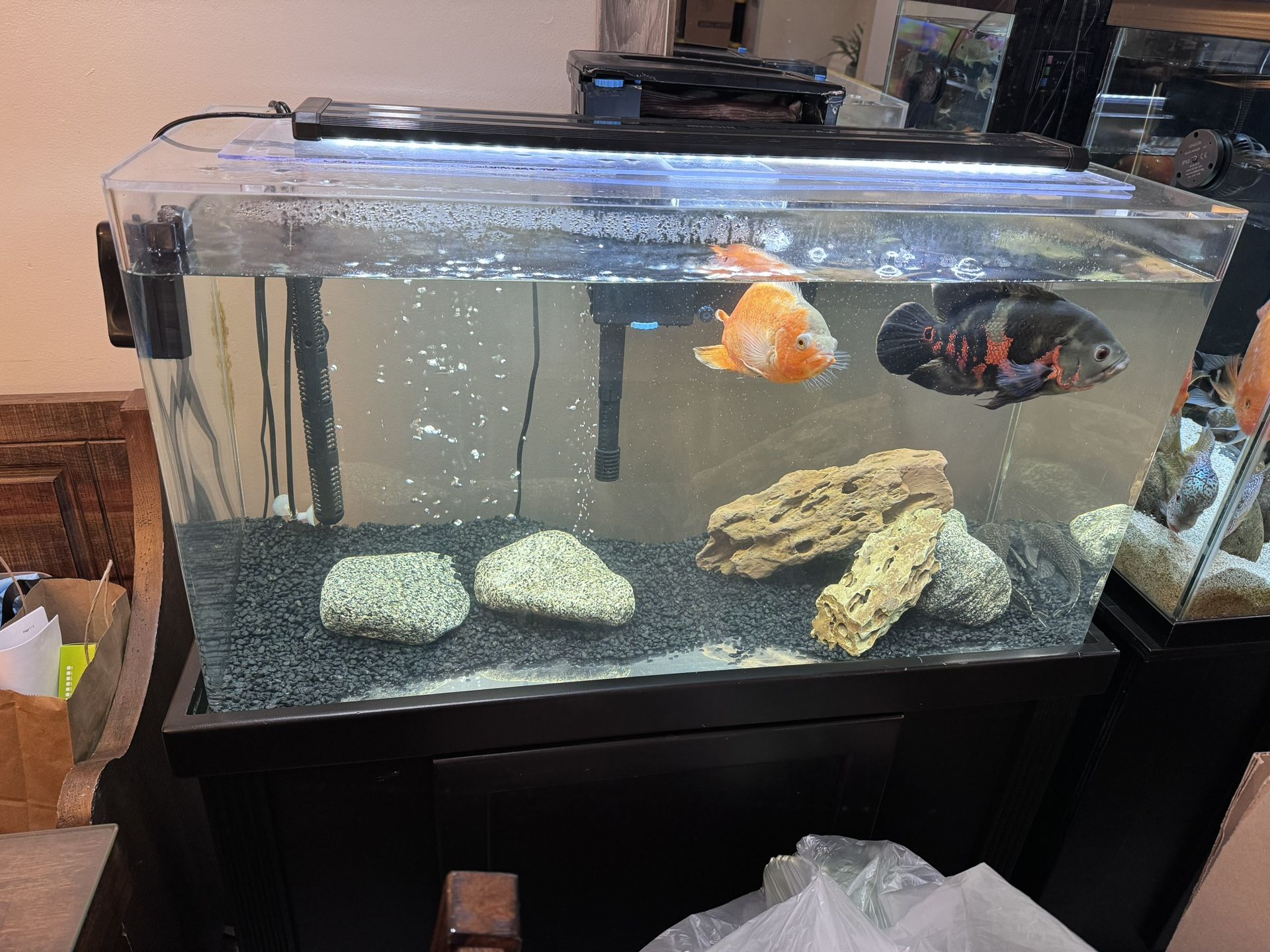 55 Gallon Acrylic Aquarium With Stand 